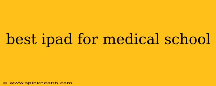 best ipad for medical school