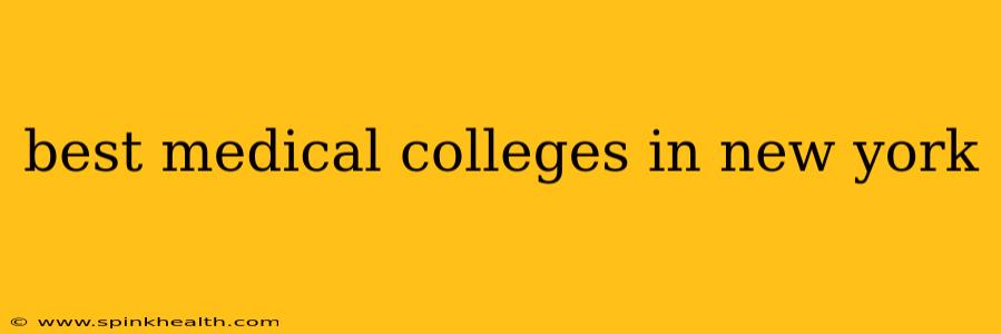 best medical colleges in new york