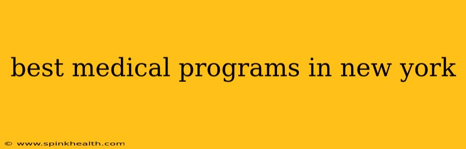 best medical programs in new york
