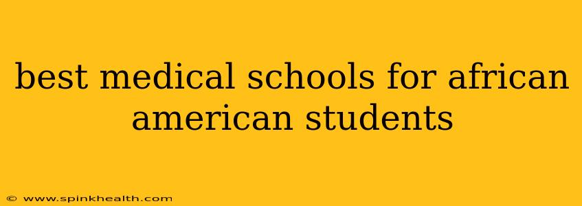best medical schools for african american students