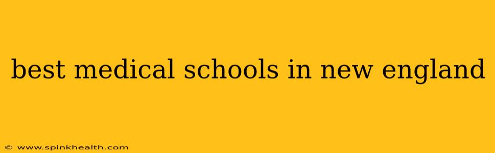 best medical schools in new england