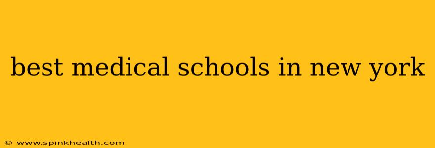 best medical schools in new york