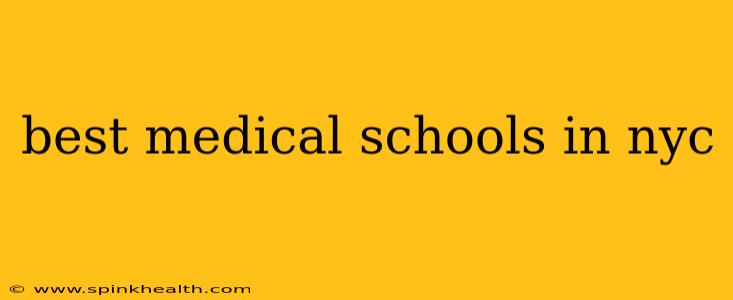 best medical schools in nyc