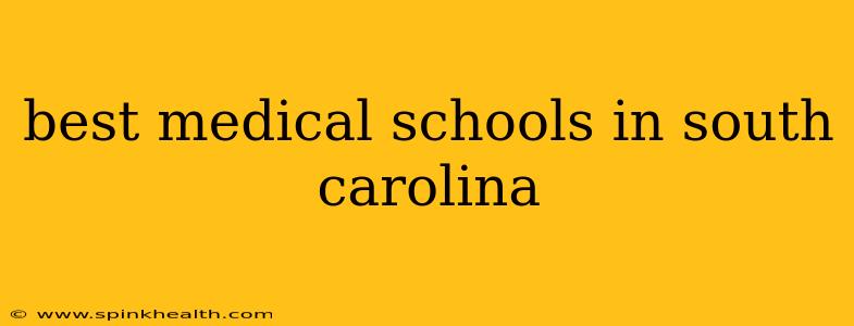 best medical schools in south carolina