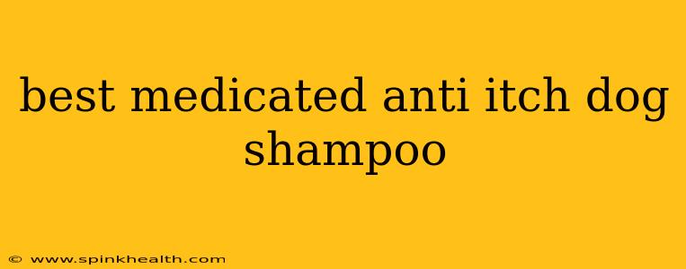 best medicated anti itch dog shampoo