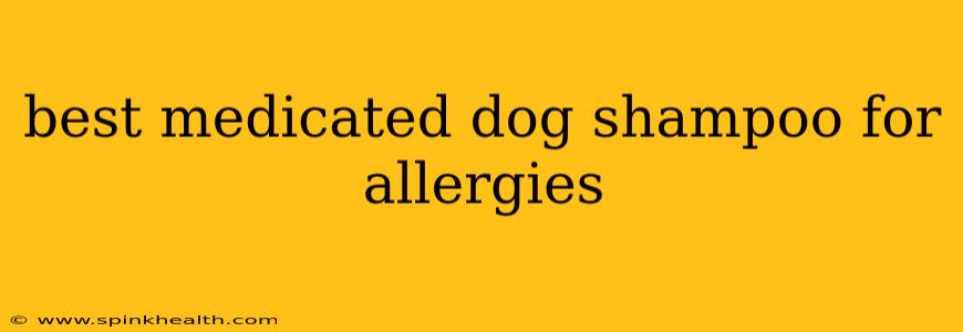best medicated dog shampoo for allergies