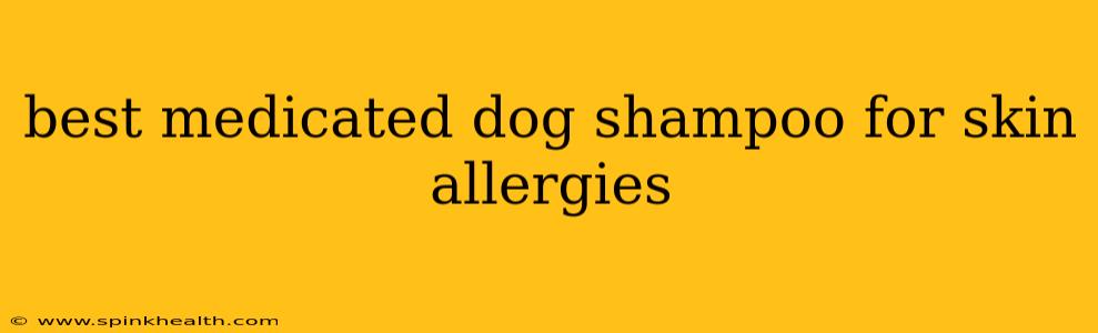 best medicated dog shampoo for skin allergies