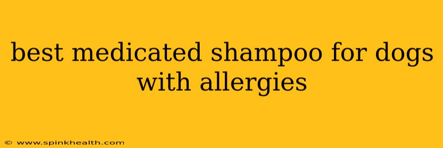 best medicated shampoo for dogs with allergies