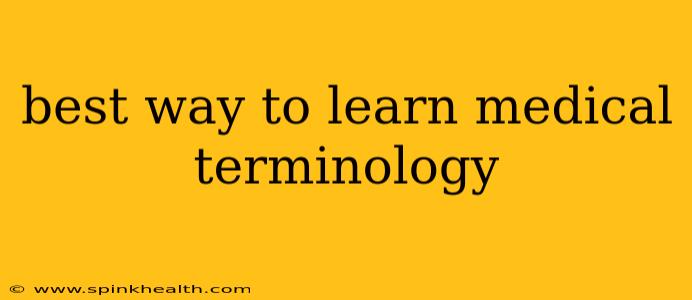 best way to learn medical terminology