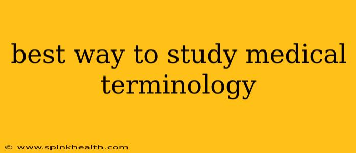 best way to study medical terminology