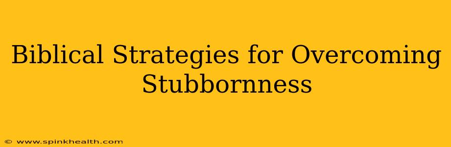 Biblical Strategies for Overcoming Stubbornness