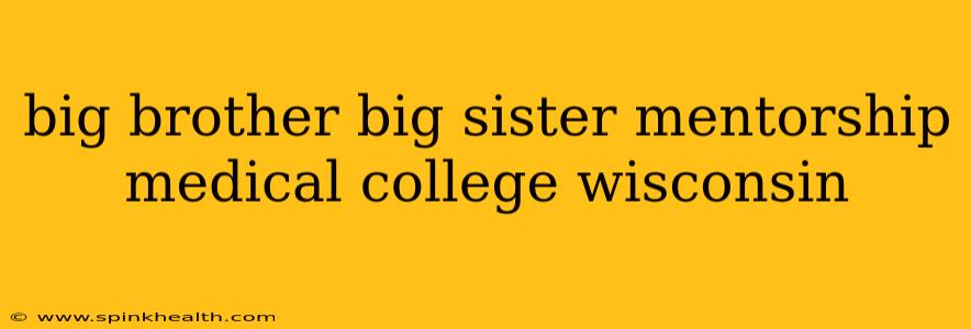 big brother big sister mentorship medical college wisconsin