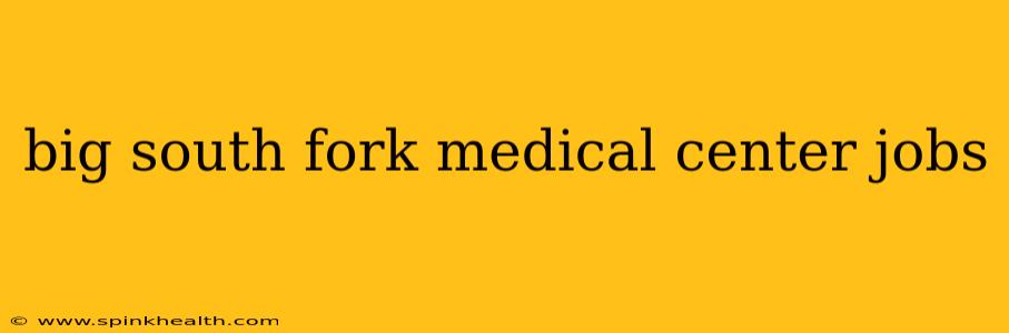 big south fork medical center jobs