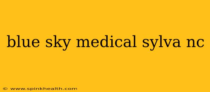 blue sky medical sylva nc
