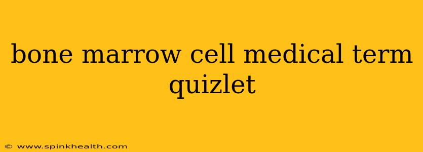 bone marrow cell medical term quizlet