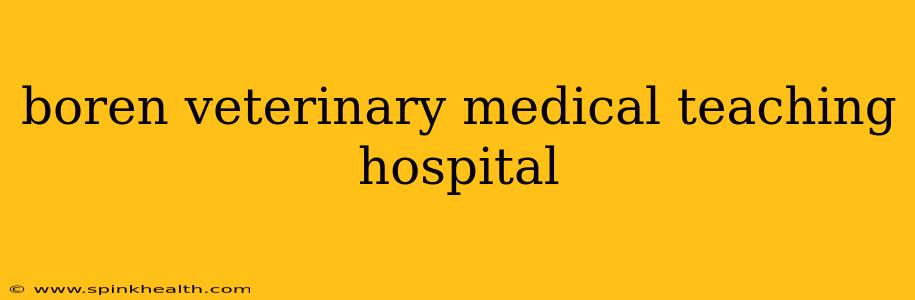 boren veterinary medical teaching hospital
