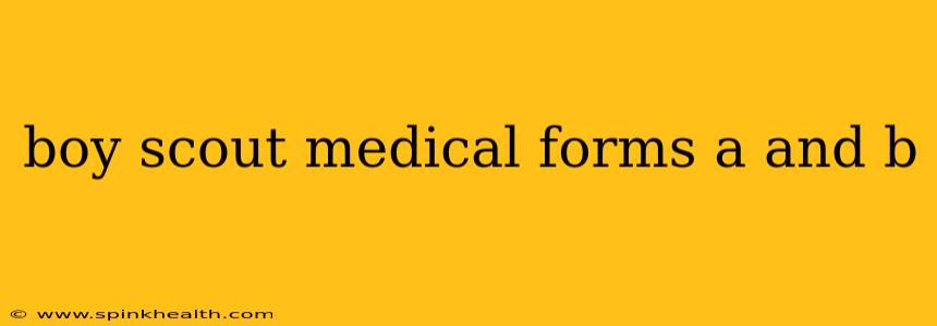 boy scout medical forms a and b