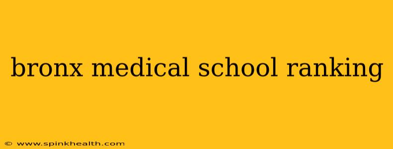 bronx medical school ranking