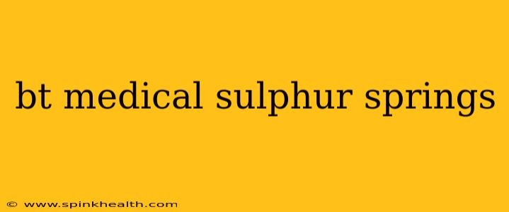bt medical sulphur springs