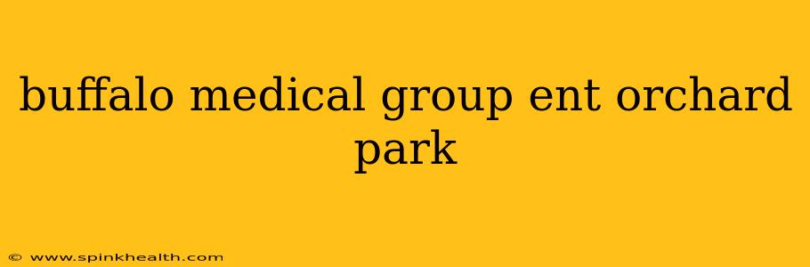 buffalo medical group ent orchard park