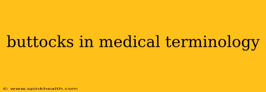 buttocks in medical terminology