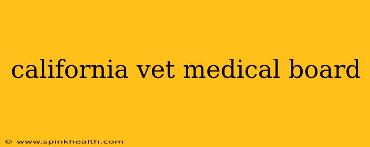 california vet medical board