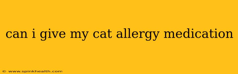 can i give my cat allergy medication