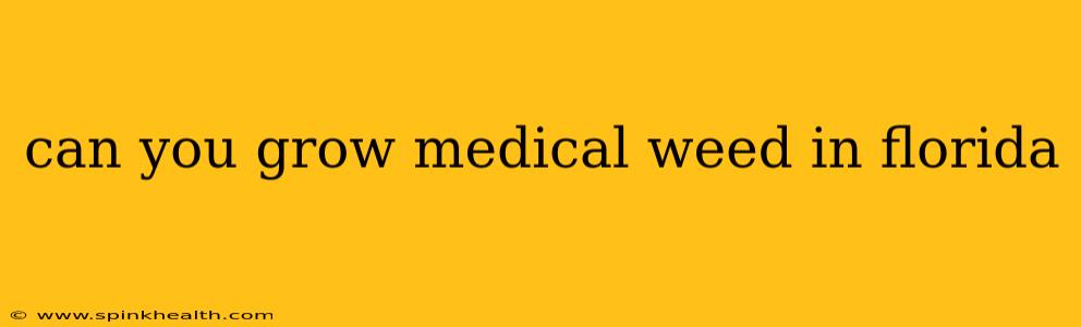 can you grow medical weed in florida