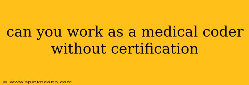 can you work as a medical coder without certification
