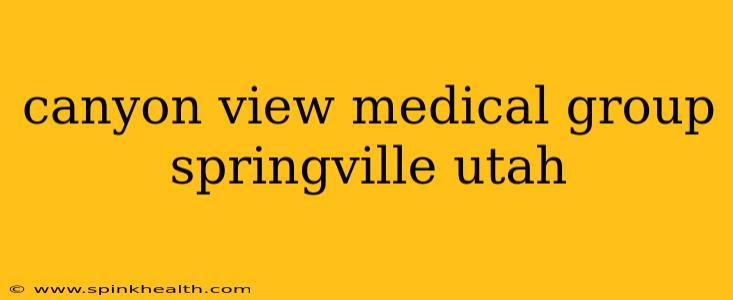 canyon view medical group springville utah