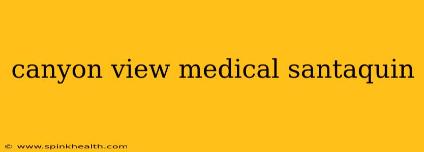 canyon view medical santaquin