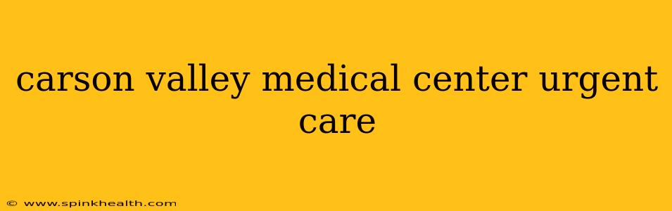 carson valley medical center urgent care