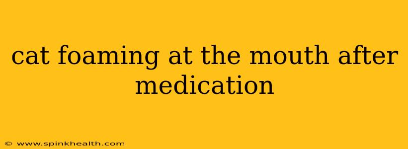 cat foaming at the mouth after medication