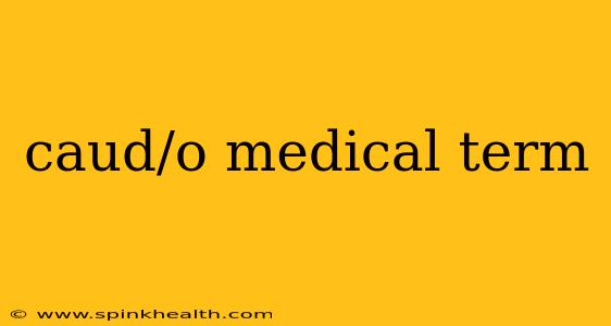 caud/o medical term