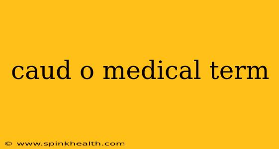 caud o medical term
