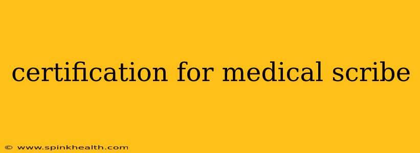 certification for medical scribe