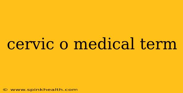 cervic o medical term