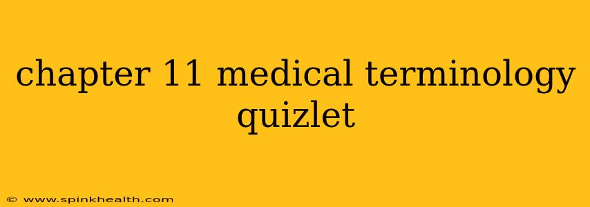chapter 11 medical terminology quizlet