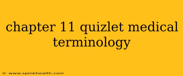 chapter 11 quizlet medical terminology