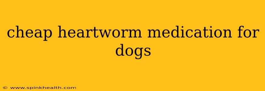 cheap heartworm medication for dogs