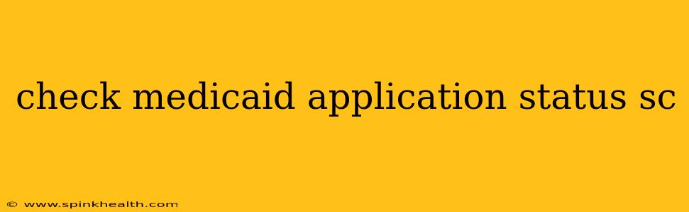 check medicaid application status sc