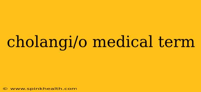 cholangi/o medical term