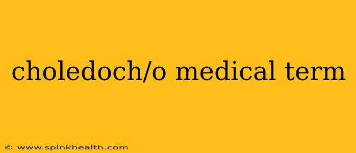 choledoch/o medical term