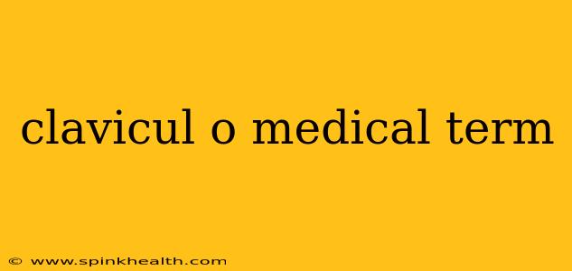 clavicul o medical term