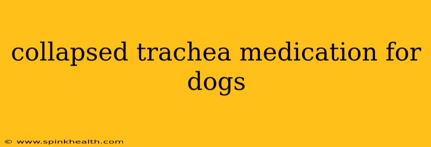 collapsed trachea medication for dogs