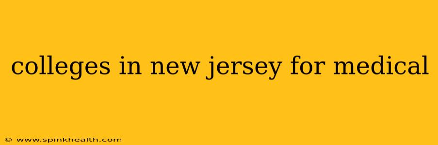 colleges in new jersey for medical