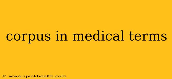 corpus in medical terms