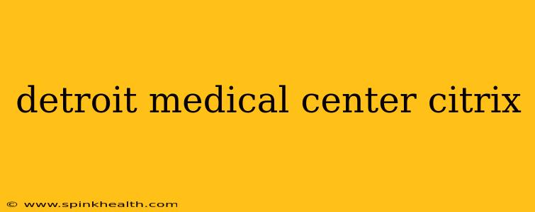 detroit medical center citrix