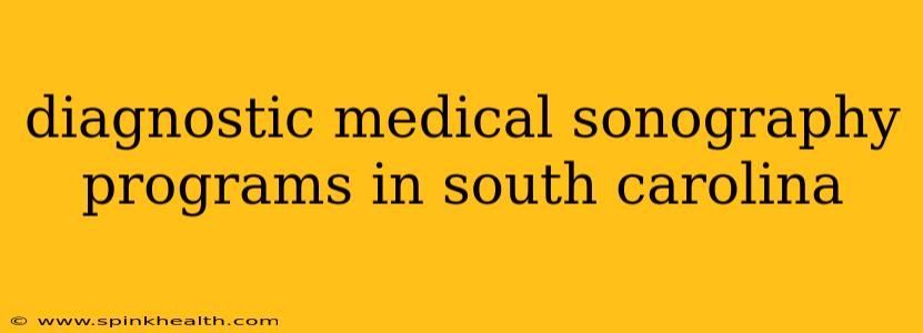 diagnostic medical sonography programs in south carolina