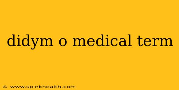 didym o medical term